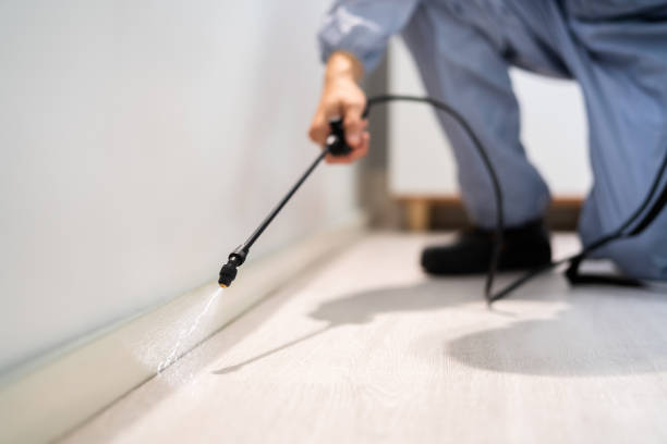Professional exterminator conducting IPM assessment in Blue Hills